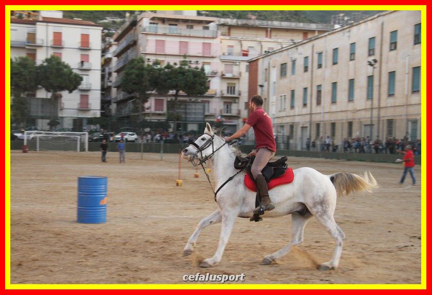 161106 equestre 019_tn.jpg